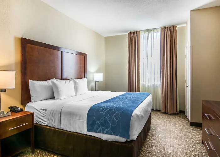 Comfort Suites Fredericksburg South